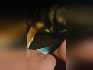 Woman submissive to dog in bestiality sex video
