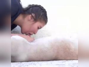 zoobeeg bestiality videos