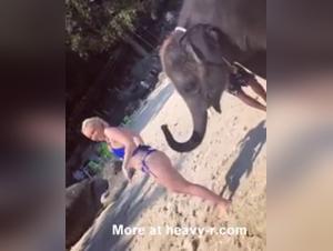 Duracion del Sexo Canino: Descifrando los Factores