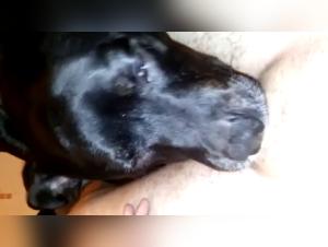 Passionate Encounter: Woman and Dog