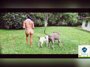 Exploding Orgasms with the Cat: An Extreme Hundeporno Salty