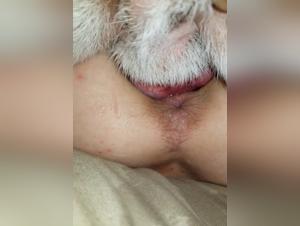 Bestiality: a teenager pushes the limits with a dog