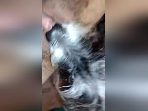 A young woman and her dog in a shocking bestiality video