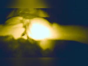 passionate encounter woman horse