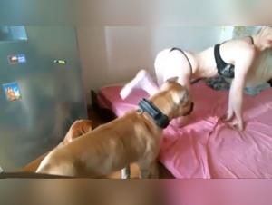 Shocking bestiality: a woman and her dog