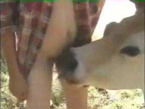 Bestiality Video: A Wild and Forbidden Encounter