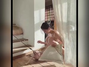 Un lien indeniable : Animalpornrocks & Complicite