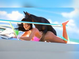 Bestial Adventure in 3D: Yacht and Dog