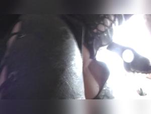 Best Animal Sex Videos, Extreme Animal Mating Experiences