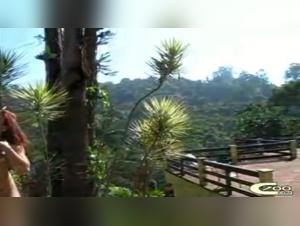 Beautiful Girl and Dog - A Sensual Encounter