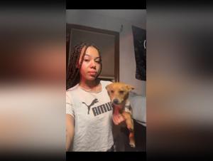 Bestiality sex video: a woman and her dog