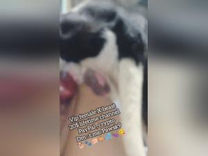 Forbidden Pleasures: Delving into Bestiality