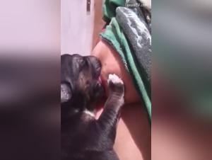 Bestial Breastfeeding: An Extreme and Forbidden Experience