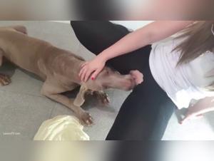 Forbidden Meeting: Woman and Dog