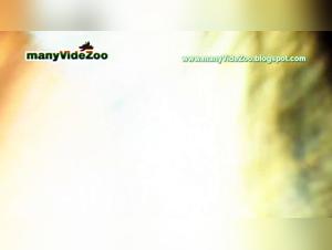 Femme Russe et Chien: Une Rencontre Interdite