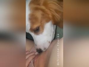 Forbidden Meeting: Woman and Dog