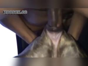 Bestial encounter: woman and dog