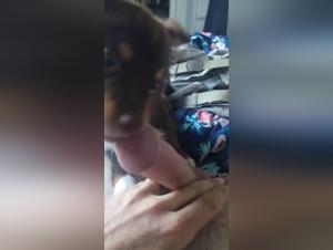 Bestiality Sex Experience with a Dog