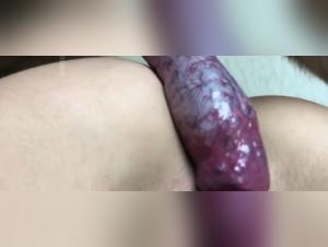 bestialitytaboo zooxnxx