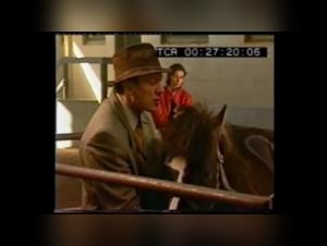 Vidéo de zoophilie avec un cheval - Une expérience bestiale unique