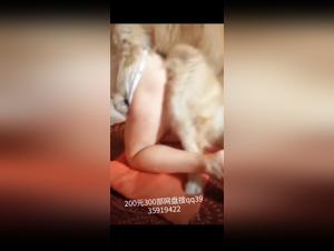 Art of Zoo: XXX Animal Passionate and Prostitutes Videos