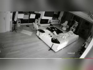 Video of Sex with a Dog