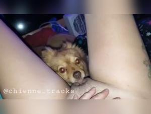 Forbidden Meeting: Woman and Dog