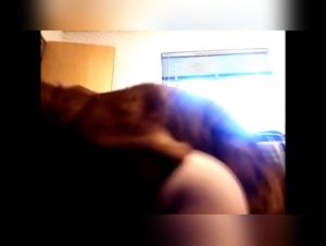 The canine sexual drive: the secret to a happy and lasting marriage