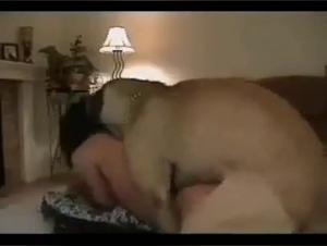 Passionate Encounter: A Woman and Her Dog