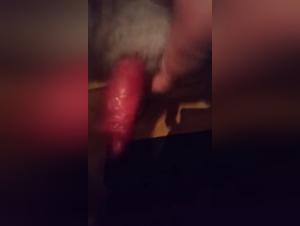 Woman and dog: a shocking bestiality scene