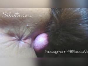 An Evening of Bestial Sex: Silesto Nice Party