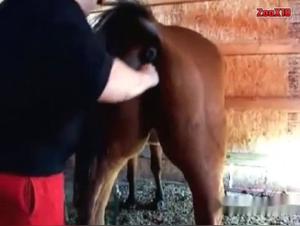 Forbidden Meeting: Woman and Horse