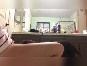 Bestial Encounter: Woman and Dog