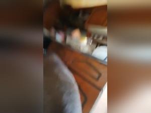 The Hottest and Sliest Women in the Animal Kingdom