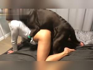 Jovenas sluts que buscan sexo anal con viejos gatos