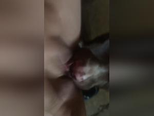 Bestiality sex video: a woman and her dog