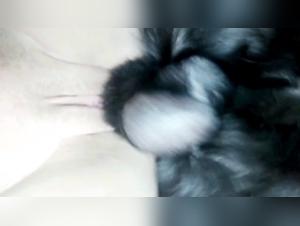 Teen Pussy and Doggy - Bestial Video