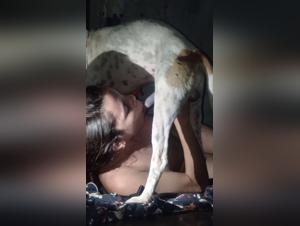 Watch the Hottest Bestiality and Hardcore Porn Videos on Dirty Dog Links