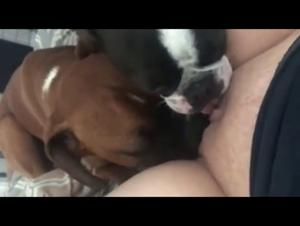 Woman and Dog: A Forbidden Meeting