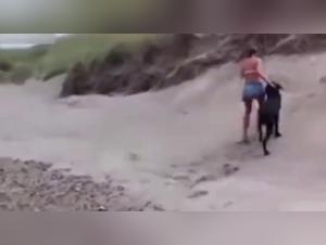 A fun day at the beach turns into a beastly experience