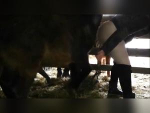 Mujer amateur y caballo: un encuentro bestial