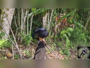 Pornografia sexual de perros con mujeres espanolas putas