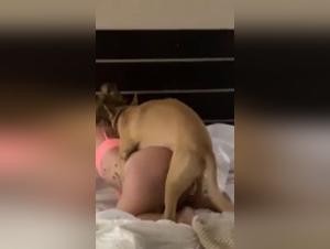 Bestiality: A submissive woman and her canine companion