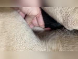 Delving into the Realm of Bestiality