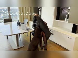 Unveiling the Obscure: Tickzoo.tv & the World of Zooporn