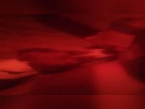 Bestiality sex video: a woman and a dog