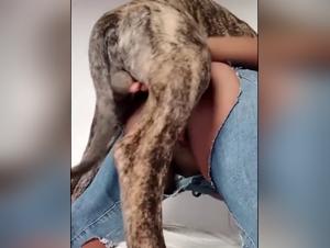 Woman Submissive to a Dog - Extreme Bestiality Video