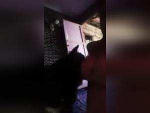 Teenage girl and dog: a beastly experience not to be missed