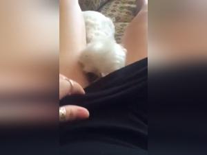 Femme mûre et chien : une rencontre bestiale