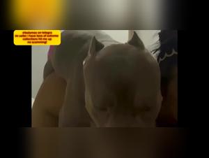 bestiality sites zoo tubes